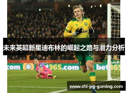 未来英超新星迪布林的崛起之路与潜力分析
