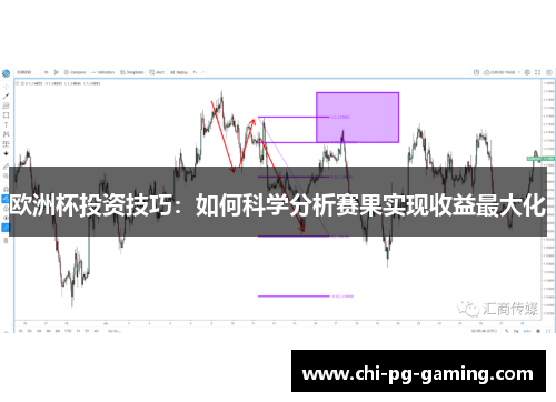 欧洲杯投资技巧：如何科学分析赛果实现收益最大化